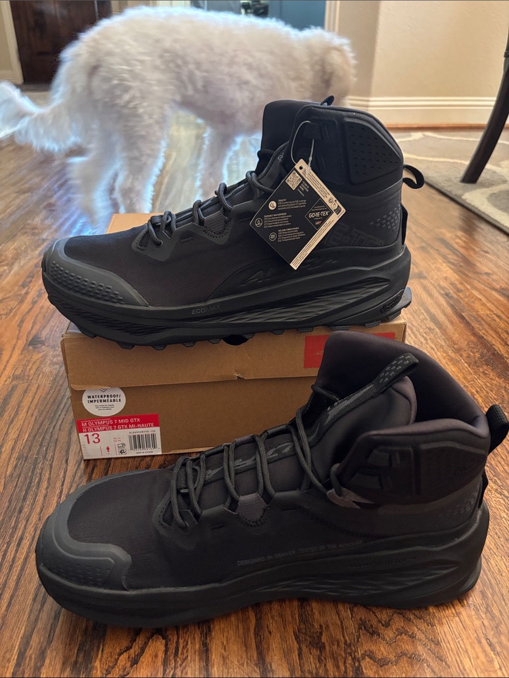 Altra M Olympus 7 Mid GTX